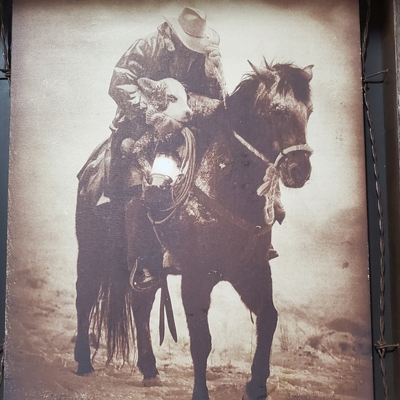 David Stoecklein " Winter Save Barnwood Shadow Box". Western  Wood  Barbwire.Art - Picture 4 of 8